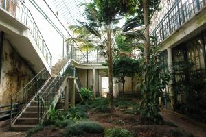 FASSA PREMIO SPECIALE PORTOGALLO COIMBRA UNIVERSITY BOTANICAL GARDEN TROPICAL GREENHOUSES 01