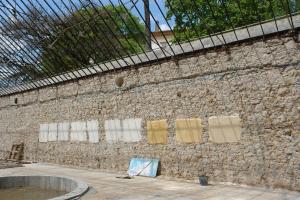 FASSA PREMIO SPECIALE PORTOGALLO COIMBRA UNIVERSITY BOTANICAL GARDEN TROPICAL GREENHOUSES 04