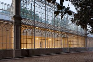 FASSA PREMIO SPECIALE PORTOGALLO COIMBRA UNIVERSITY BOTANICAL GARDEN TROPICAL GREENHOUSES 07