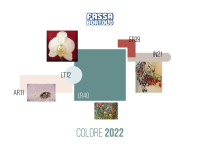 Palette 4_Fassa Color 2022