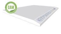 CARTONGESSO ACCOPPIATO BA 10+20 DI POLISTIRENE/200X120 - Imer Store